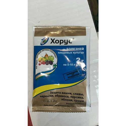 ������ ������ ����� ����