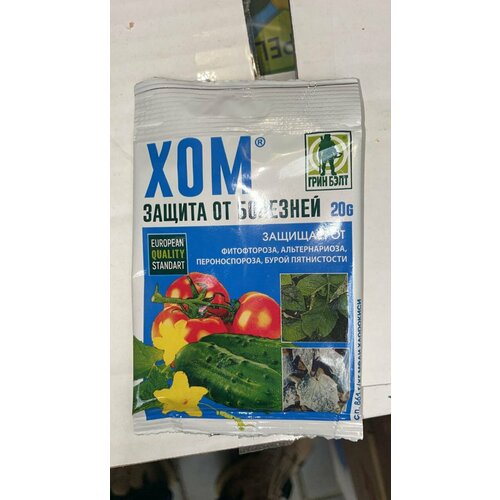 ������ ������ ��� ����