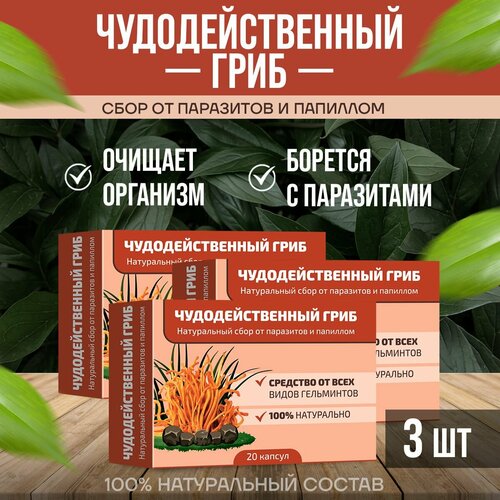 ������ ������ ��������������� ���� ���� �� ��������� � �������� 3 �������� ����