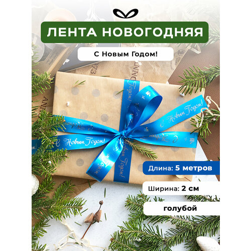 ������ ������ ����� �����������, ���� ��� �������, � �������� 