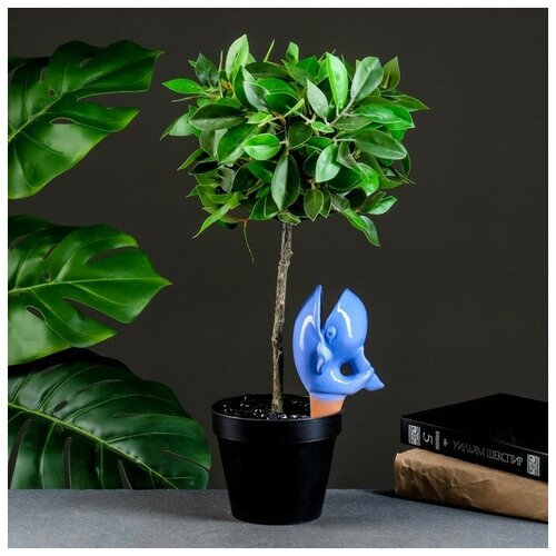 ������ ������ ��������� 