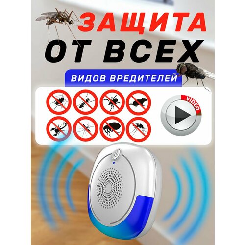 ������ ������ ������������ �����, �������, ����, ��������� ��������� �������������� ����