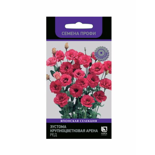 ������ ������ ������� ��������������� (���������) ������� �������� ����