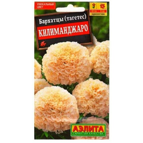 ������ ������ �������� ������������ �������. 0,05��. (������) ����