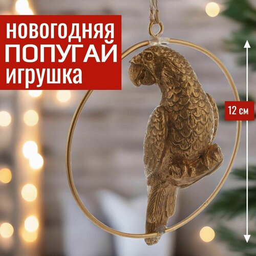 ������ ������ ������� �� ���� ���������� ������� 10�8��12 �� ������� ������� ��������� 1 �� ������� ����