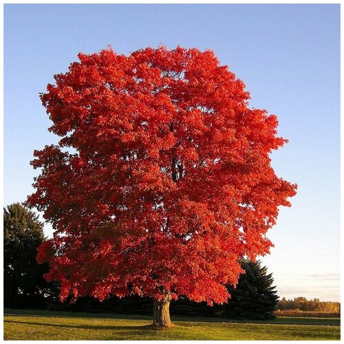 ������ ������ ������ ������ ��� ������������� 10 ��. ����