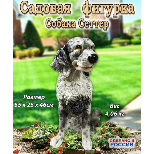 ������ ������ ������� ������� ������ ������, ����� ��� ����, ���� � ������� ����