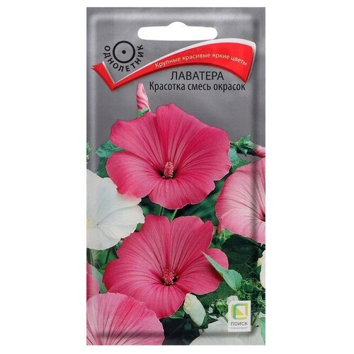 ������ ������ ������ ������ �������� 