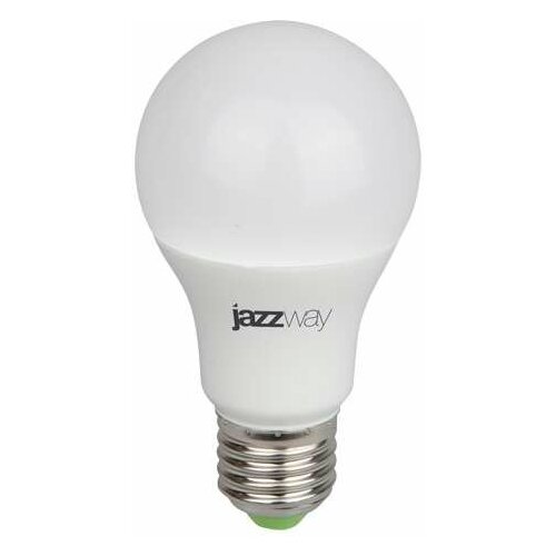      PPG A60 AGRO 9  E27 230 IP20 JazzWay   -     , -,   