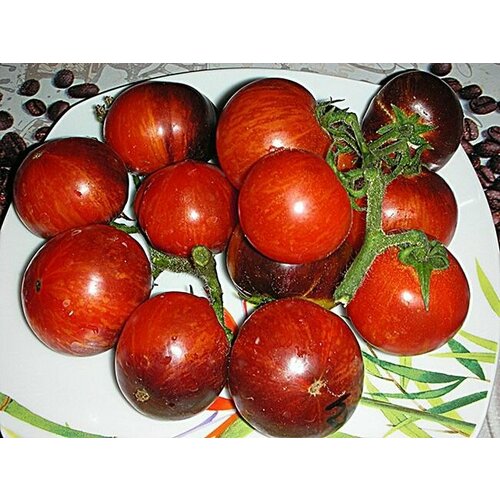 ������ ������ ������������� ������ ������ ���� ��������� ���� ����