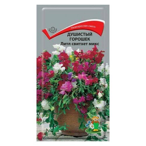 ������ ������ �������� ������� ���� ������� ���� �����. 0,5��. (�����) ����