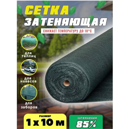 ������ ������ ����� ���������� �������, ��������� 85%, ������ 1�10� ����