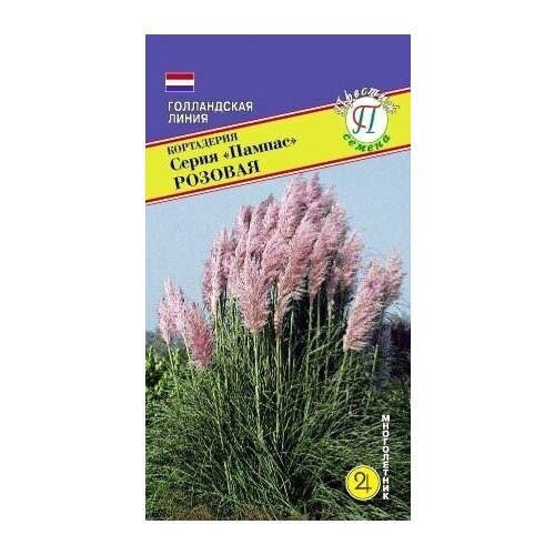 ������ ������ ��������� ����� �������. ����������. ������. �����������. ������ �������� 2,5-3 �. �������� ���������� �� ������ � ������ ��� ���������� ���� ����