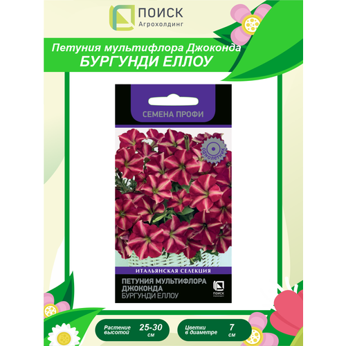 ������ ������ ������ ������� ����������� �������� �������� ����� ��������� ������ ����� ���������� 10 ��. ����