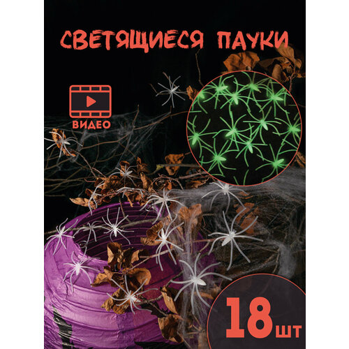 ������ ������ ��������� ��� ��������� �������� ���������� �����, ���� �����, ����� �� 18 ���� ����