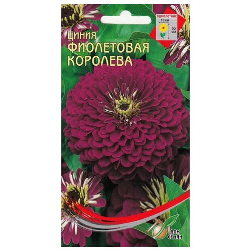 ������ ������ ����� ���������� ��������, 35 ����� ����