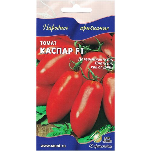 ������ ������ ����� ������ F1, 10 ����� ����