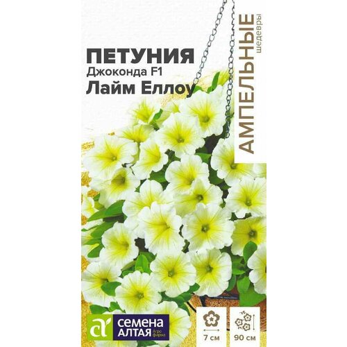 ������ ������ ������ ������� �������� ���� ����� �������������� F1 5�� ��� 30�� (������ �����) ��������� ������� ����