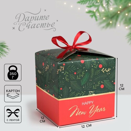 ������ ������ ������� ���������� ������ � ����, 12 � 12 � 12 ��, ����� ��� ����