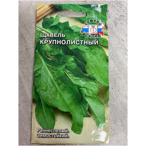 ������ ������ ������ ������������� ����