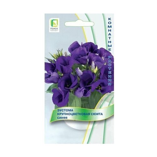 ������ ������ ������ ������� ����� ����� ��������������� ����� 5 �� ����