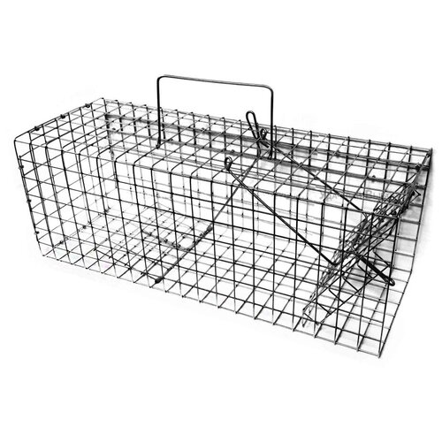 ������ ������ ��������� 48�� ��� ���� � �������� ������� ������ ����� ���� ����