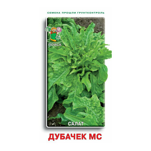 ������ ������ ������ ����� ������� �� �������� 1� ������ (�����) ����