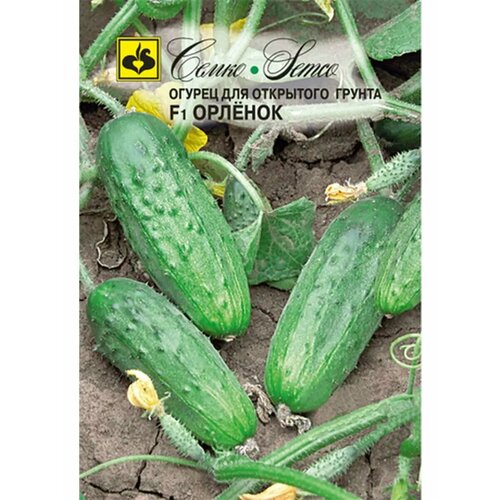 ������ ������ ������ 