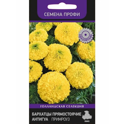 ������ ������ �������� ������������ 