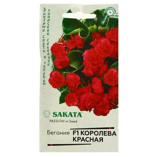 ������ ������ ������. ������� 