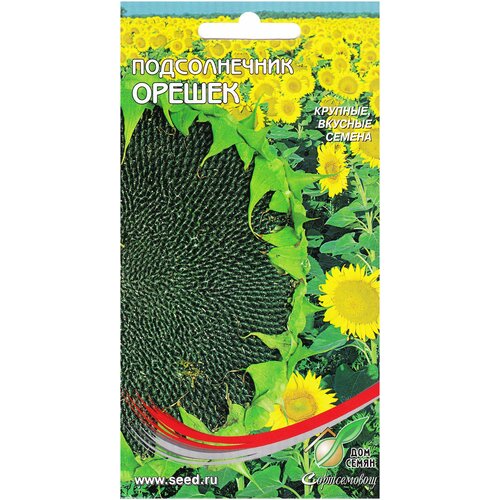 ������ ������ ������������ ������, 50 ����� ����