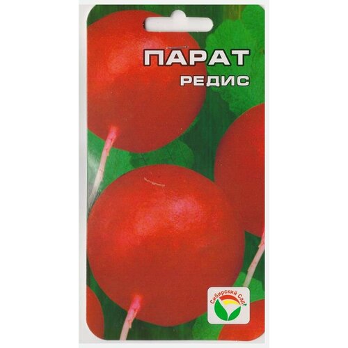 ������ ������ ������ ������ ��������� ��� 