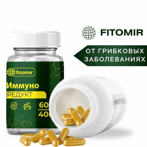 ������ ������ ������������ �������� �� ������ ������ �� �����, �����, ��� ������ � ���������. 60 ������ ����