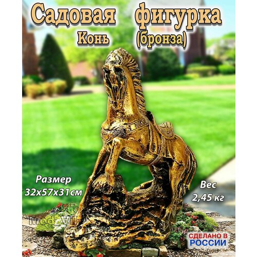 ������ ������ ������� ������� ���� (������), ����� ��� ����, ���� � ������� ����