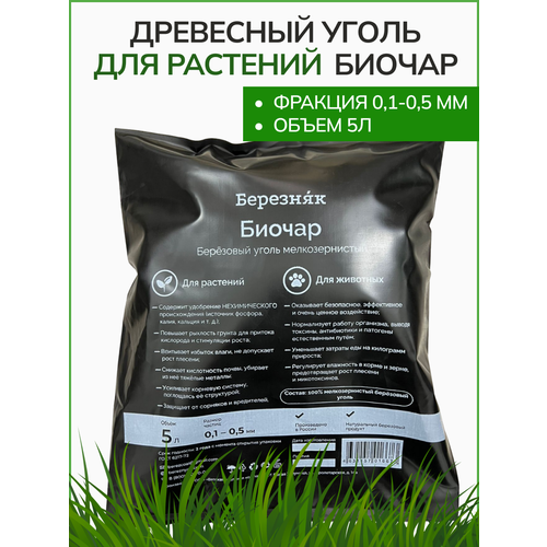 ������ ������ ������ ��������� ����� �������� 5� �������������� ����