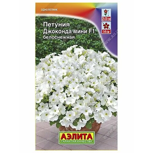 ������ ������ ������� 