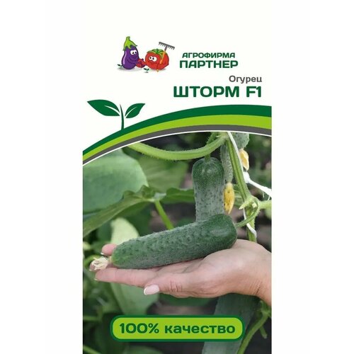 ������ ������ ������ ������ 