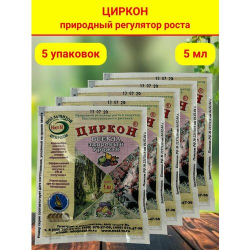 ������ ������ ���������� ����� �������� � ����� ������� ������. �������� 1 ������ 1 ��. 5 �������� ����