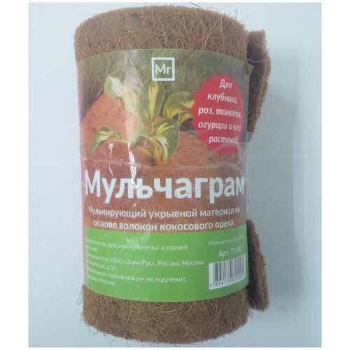 ������ ������ ���������� 