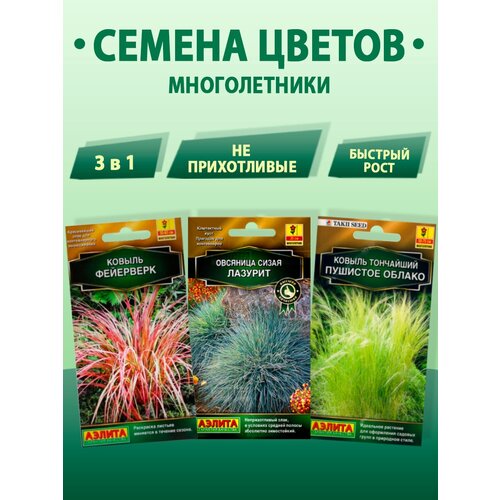 ������ ������ ������ ���������, ������ �������� ������, �������� ����� ������� ,3 ��. ����