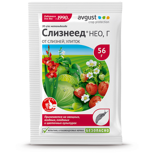 ������ ������ Avgust �������� �� ������� � ������ �������� ���, 56 ��, 56 � ����