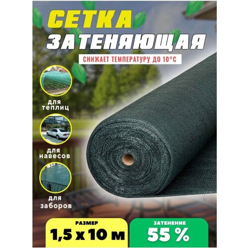 ������ ������ ����� ���������� �������, ��������� 55%, ������ 1,5�10� ����