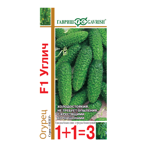 ������ ������ ������ ������ ����� F1 �������� 20�� ������������������ ������ (������) 1+1 ����