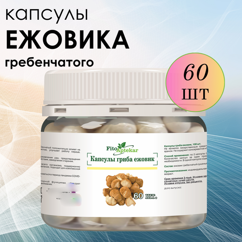 ������ ������ ������ ���� ����������� � �������� ����-��������, ����������� ������� ������� 60 �� ����