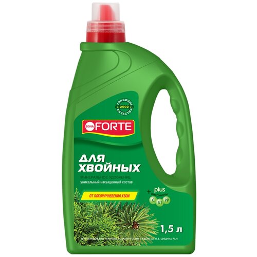 ������ ������ ��������� BONA FORTE ��� �������, 1.5 �, 1940 �, 1 ��. ����