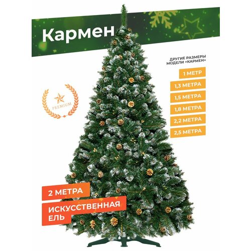 ������ ������ ���� ������������� 