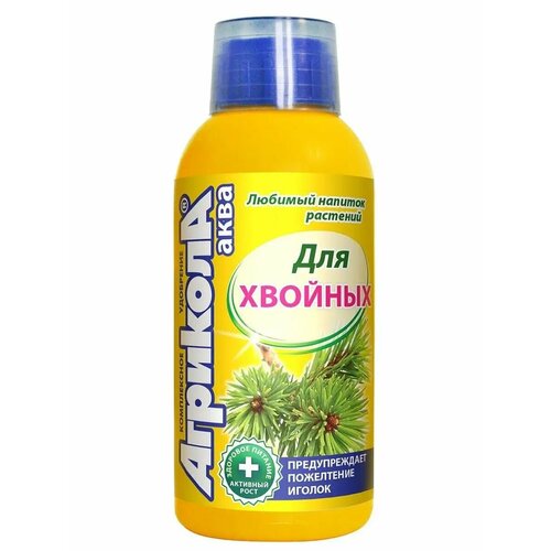 ������ ������ ��������� �������� ���� ��� ������� �������� 250 �� ����