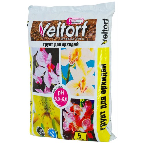 ������ ������ ����� ��� ������� 5 � ����