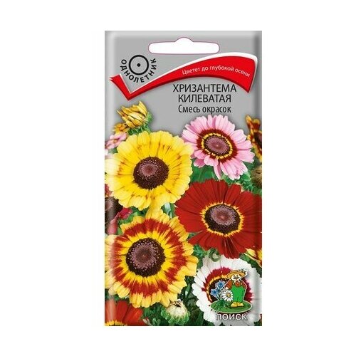 ������ ������ ������ ���������� ��������� ����� � ������������ 0,3 �� ����