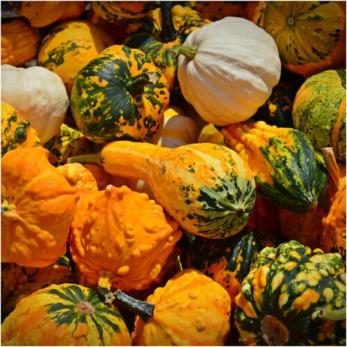 ������ ������ ������ ������ ����� ������������ ����������� 5 ��. ����